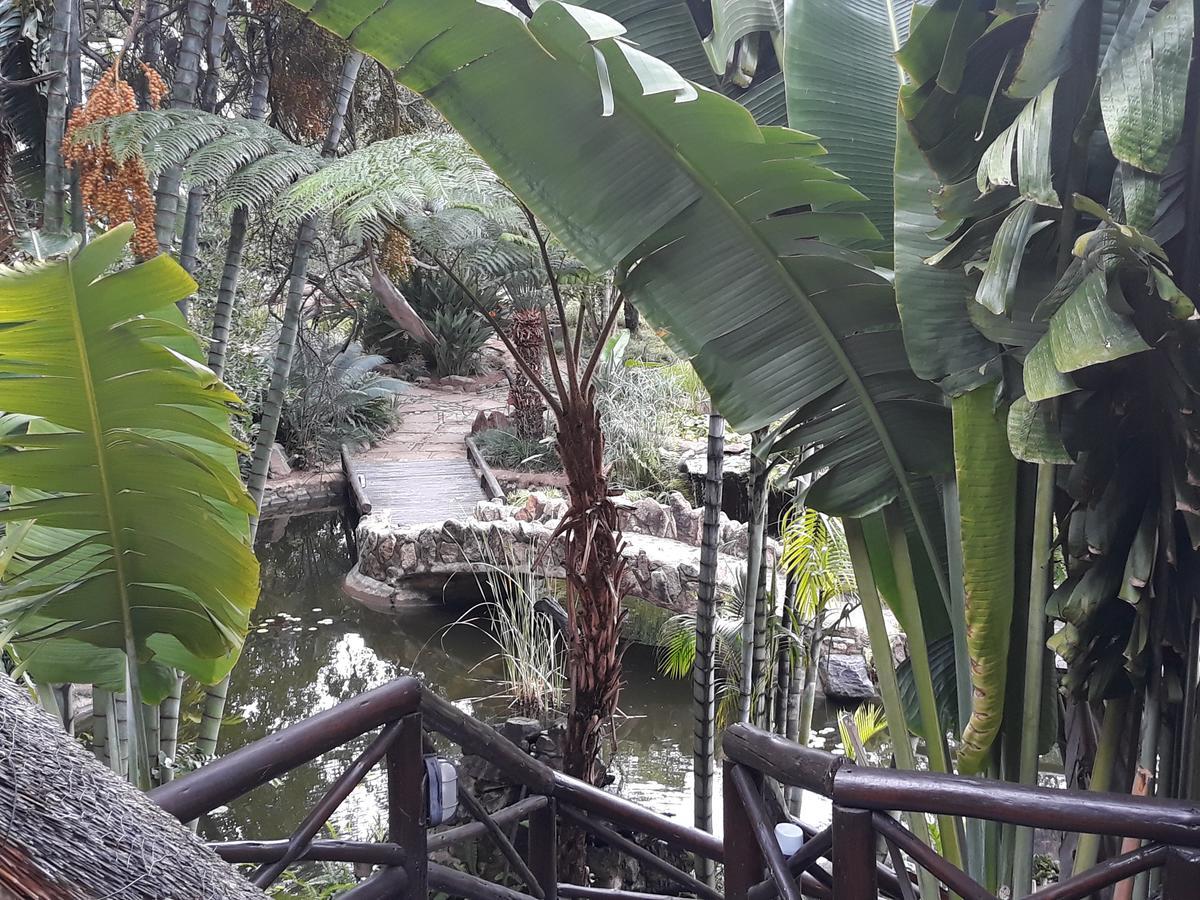 Kampersrus AH Moholoholo Ya Mati旅馆 外观 照片